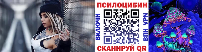 купить закладку  Павловский Посад  KRAKEN зеркало  Псилоцибиновые грибы Magic Shrooms 